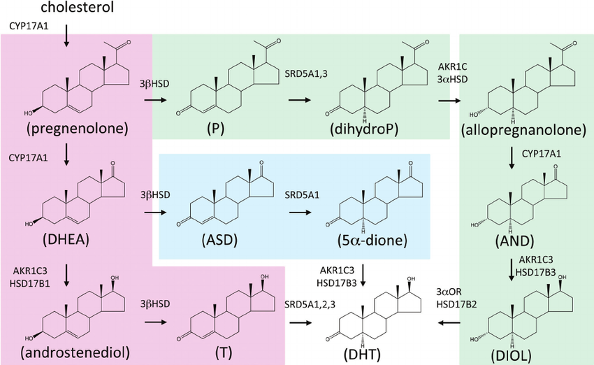 Frontdoor-pink-primary-backdoor-green-and-secondary-backdoor-blue-pathways-to-5-a