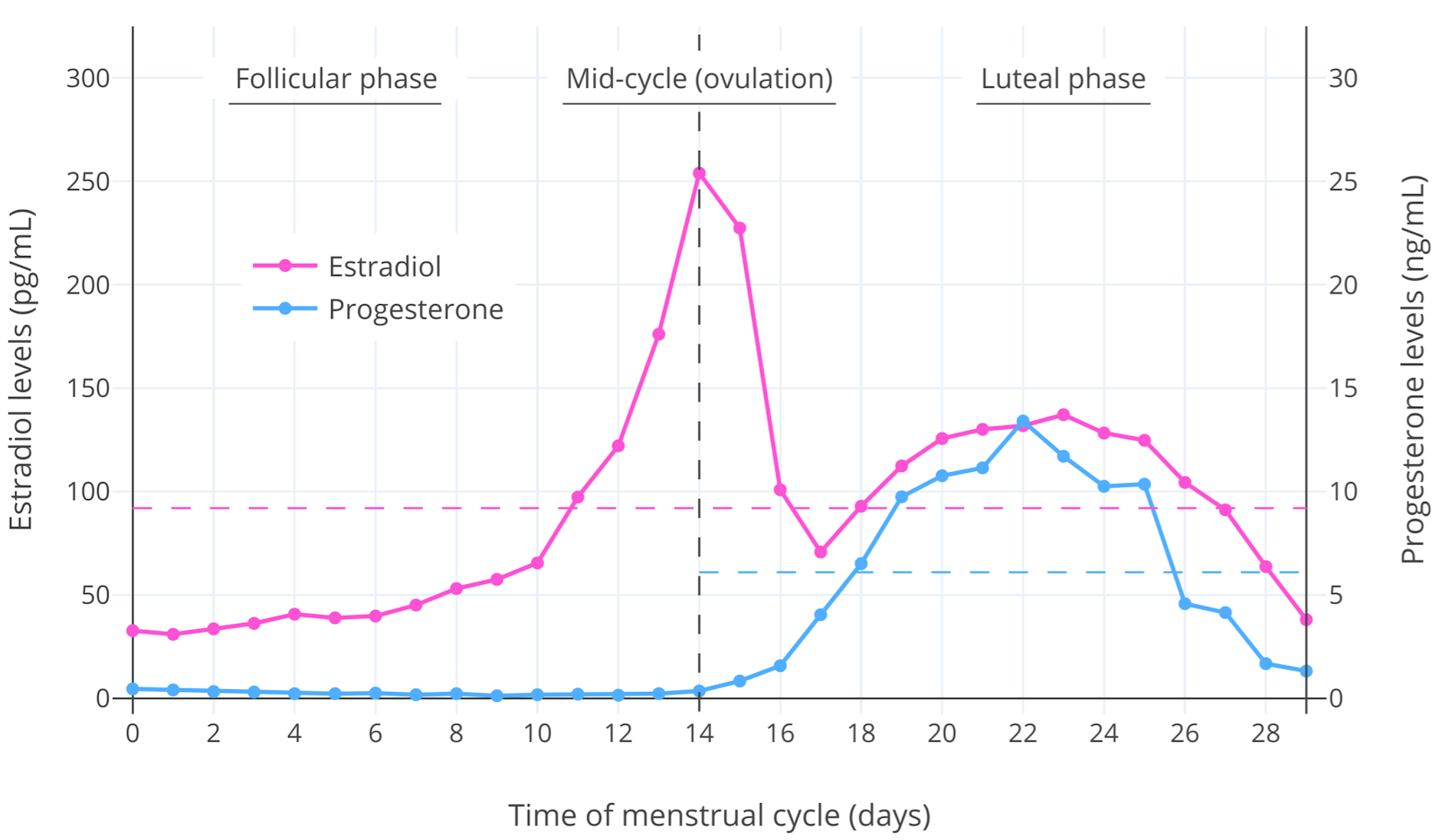 e2-p4-cycle